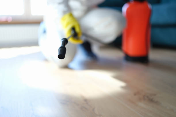 Best Mold Odor Removal Services  in Slocom, AL