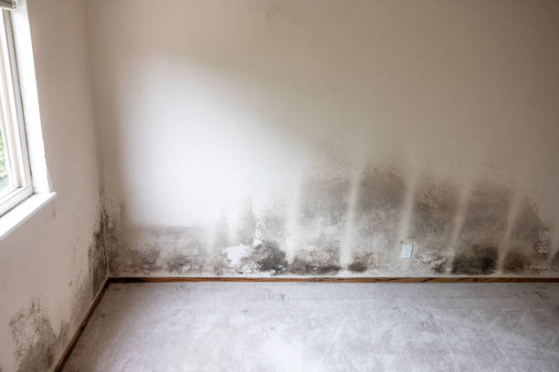 Best Indoor Air Quality Assessment  in Slocom, AL