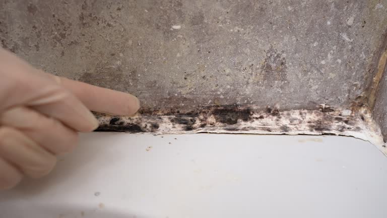 Best Mold Documentation for Insurance Claims  in Slocom, AL